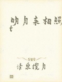 明月来相照txt