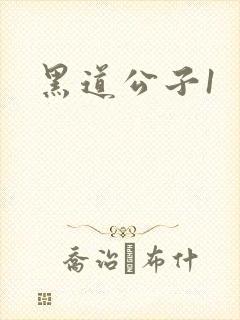 黑道公子1