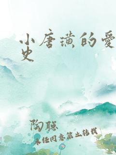 小唐璜的爱情历史