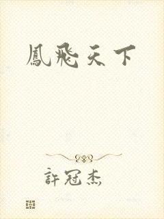 凤飞天下