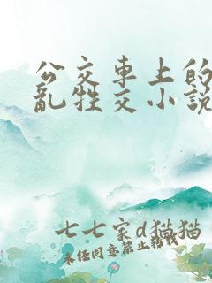 公交车上的疯狂乱牲交小说