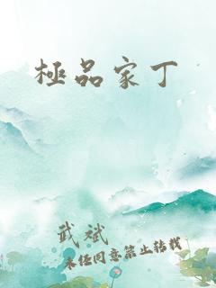极品家丁
