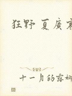 狂野 夏广寒