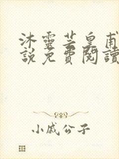 沐灵芸皇甫霆小说免费阅读