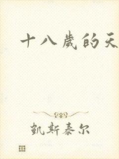 十八岁的天空续