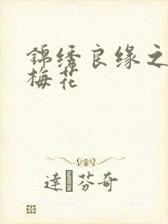 锦绣良缘之驿寄梅花