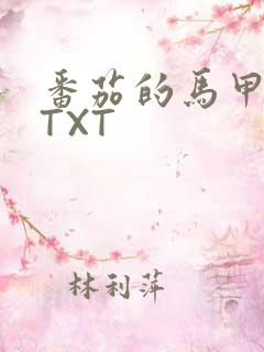 番茄的马甲小说TXT
