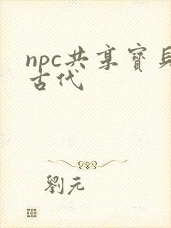 npc共享宝贝古代