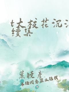 t大校花沉浮录续集