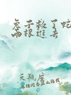 兔子救了蛇被蛇两根进去