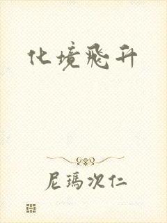化境飞升