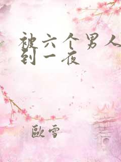 被六个男人躁J到一夜