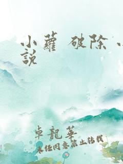 小萝 破除 小说
