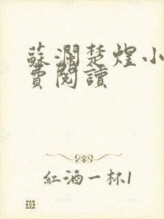 苏澜楚煜小说免费阅读