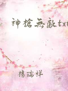 神枪无敌txt