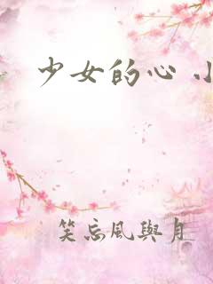 少女的心 小说
