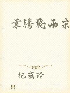 袁腾飞两宋风云