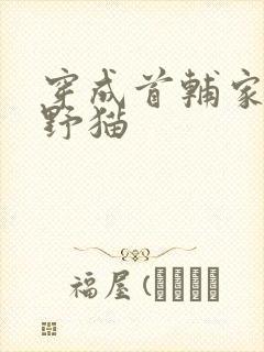 穿成首辅家的小野猫