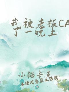 我被老板CAO了一晚上