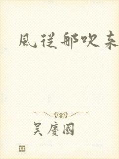 风从那吹来小说
