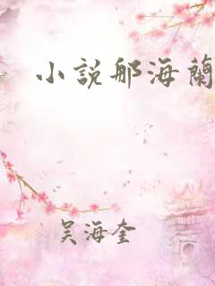 小说那海兰珠