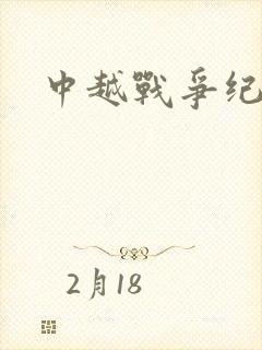 中越战争纪实录