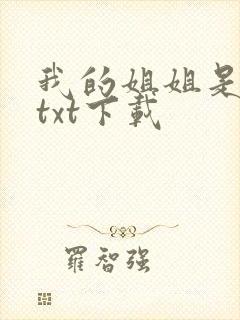 我的姐姐是美女txt下载