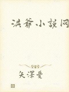洪爷小说网