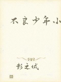 不良少年小说