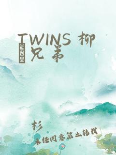 TWINS 柳澤兄弟