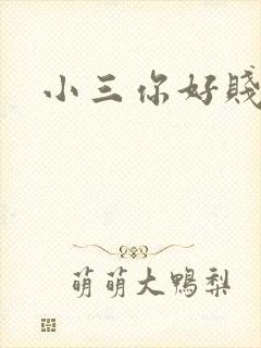 小三你好贱下载