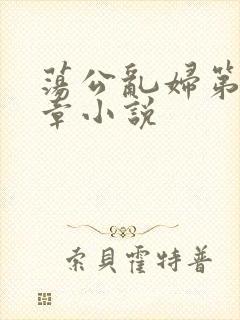 荡公乱妇第51章小说