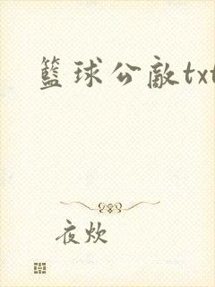 篮球公敌txt