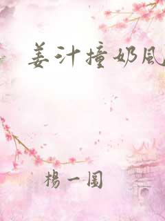 姜汁撞奶风星子