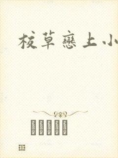 校草恋上小丫头