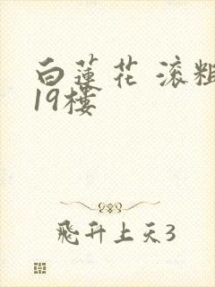 白莲花 滚粗 19楼