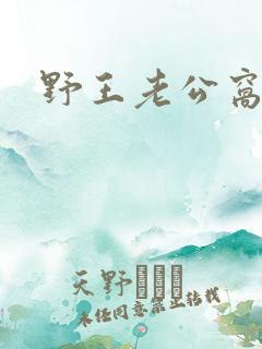 野王老公窝