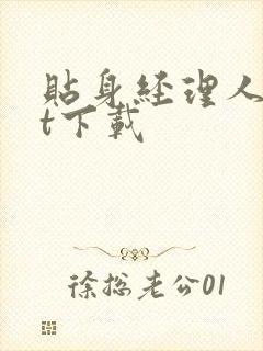 贴身经理人txt下载