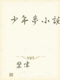 少年梦小说
