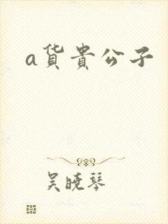 a货贵公子