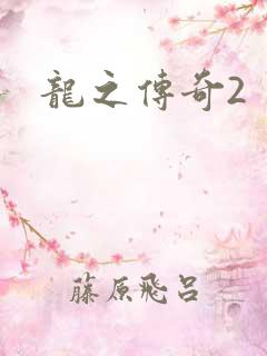 龙之传奇2