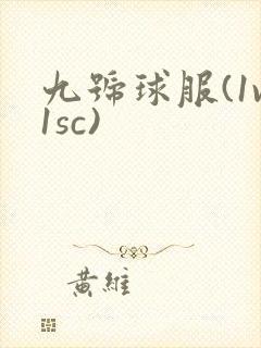 九号球服(1v1sc)