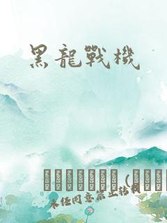 黑龙战机