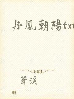丹凤朝阳txt