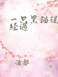 一只黑猫从眼前经过