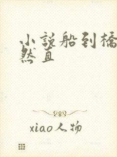 小说船到桥头自然直