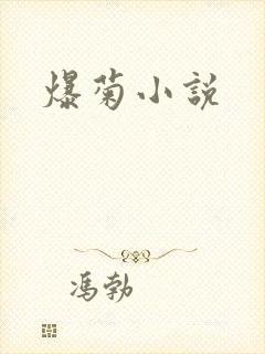 爆菊小说