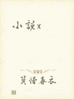 小说x