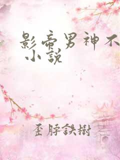 影帝男神不节制 小说