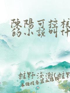 陈阳可控核聚变的小说叫什么名字